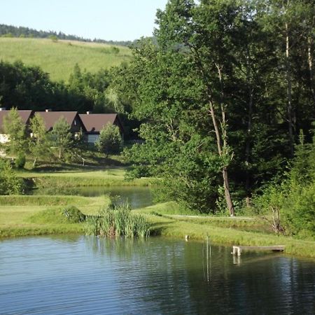 Villa Domek Caloroczny El Coyote Hoczew Exterior foto